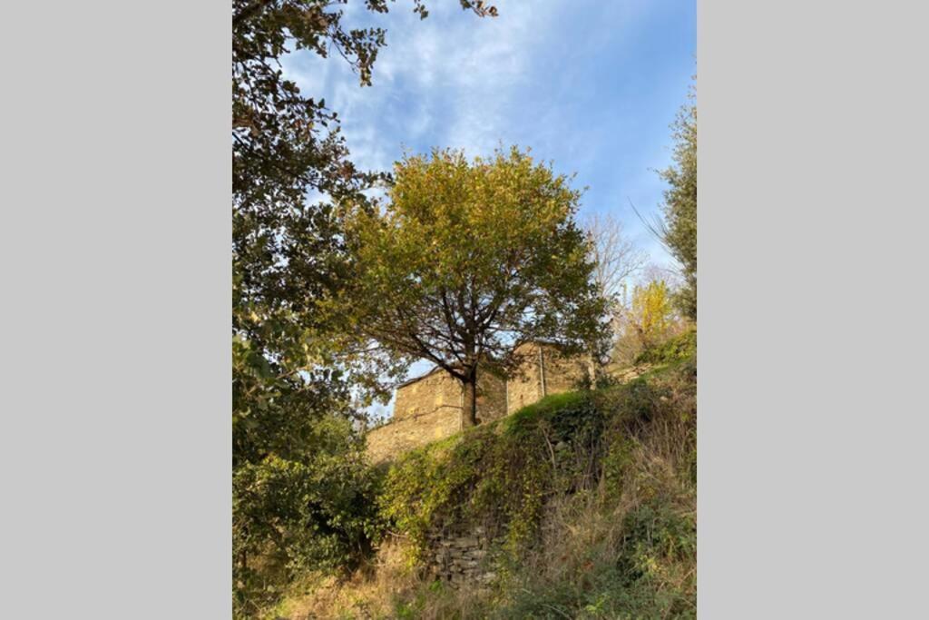 Villa La Pellegrine, Parc National Des Cevennes Le Salson Exterior foto