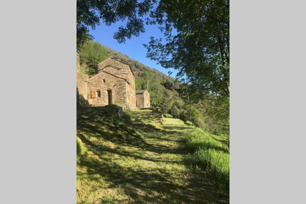 Villa La Pellegrine, Parc National Des Cevennes Le Salson Exterior foto